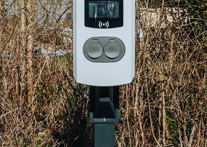 Poldersbos 3 - Barledunes - Met Jacuzzi En Sauna *